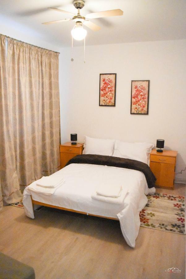 Spacious And Cozy 3Bd+Terrace Couples Apartment Timisoara Esterno foto