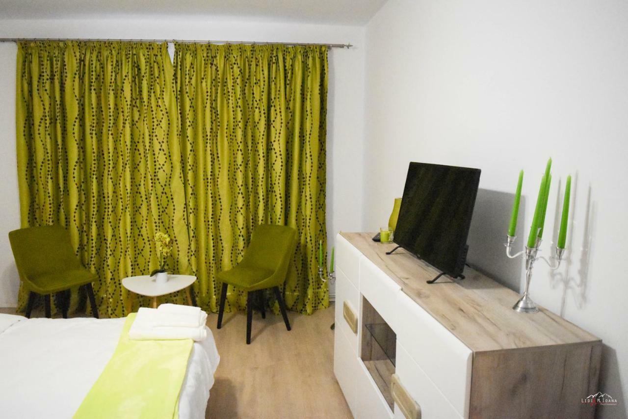Spacious And Cozy 3Bd+Terrace Couples Apartment Timisoara Esterno foto
