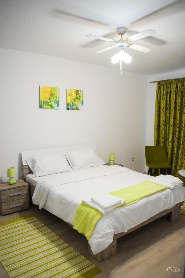 Spacious And Cozy 3Bd+Terrace Couples Apartment Timisoara Esterno foto