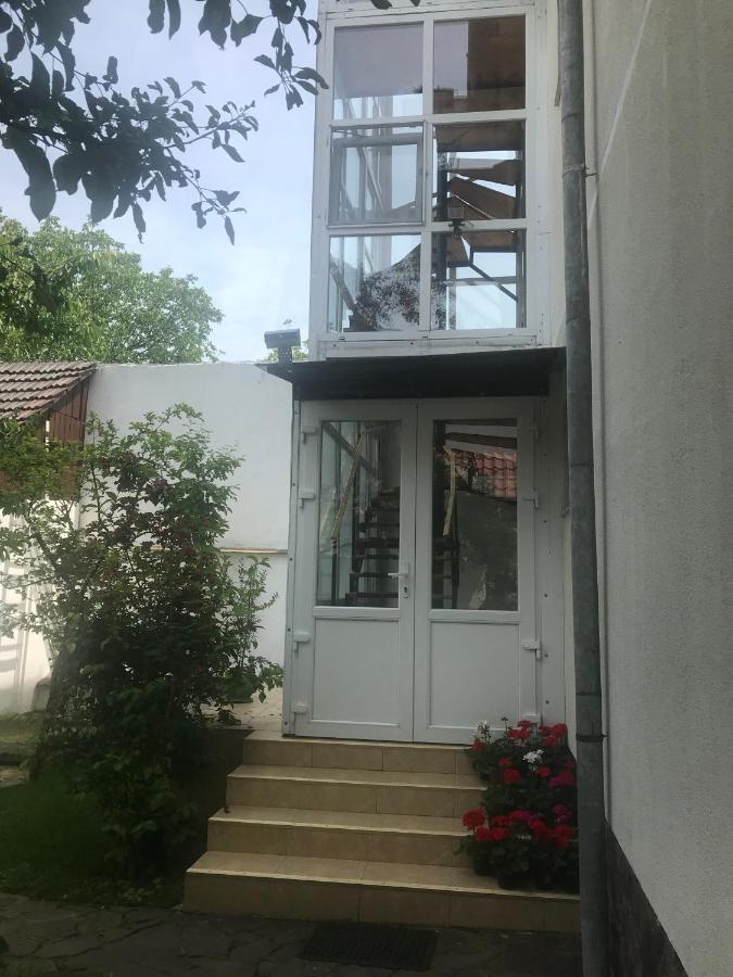 Spacious And Cozy 3Bd+Terrace Couples Apartment Timisoara Esterno foto